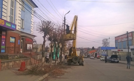 У Жмеринці готують дерева до весни
