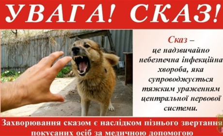 У Нетішині сказився собака. Після відлову він загинув у притулку