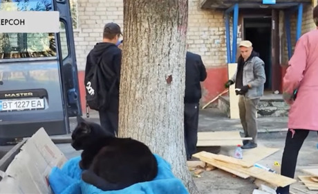 ​​​​​​​Обстріли Херсонщини: 6 поранених, пошкоджені дитсадок і лікарня