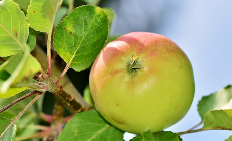 Погода у Старокостянтинові на 14-20 серпня: очікується спекотний тиждень
