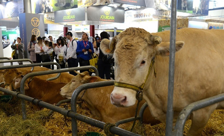 Огромные быки, коровы-рекордсменки и супертехника: что студенты ТГАТУ увидели в Париже  на выставке
