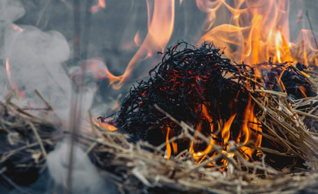 У Сарненському районі згоріла понад тонна сіна