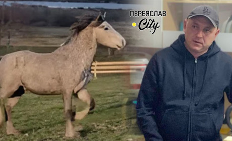 Ігор Сабадаш взимку 2022-го випустив корів і коней у чисте поле, а сам пішов на війну