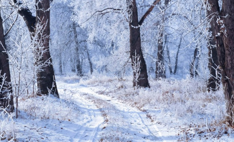 Туман, ожеледиця та мінлива хмарність: з якою погодою від нас піде січень
