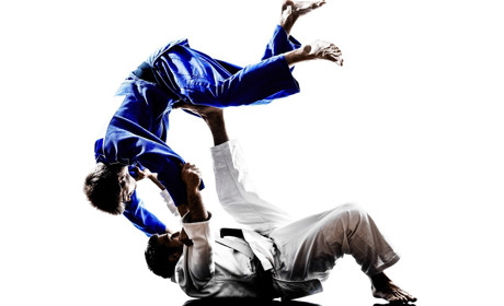 У школах Буковини планують запровадити викладання дзюдо