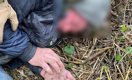 На Сумщині судитимуть двох мешканців Шосткинського району. Один з них планував диверсію