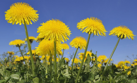 Прогноз погоди на Сумщині та в Україні: що передбачають синоптики