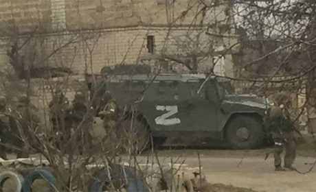 Елітне насіння розкидане полем