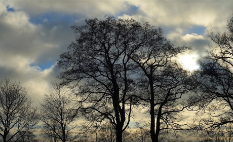 Погода у Старокостянтинові з 27 січня по 2 лютого: очікується дощ і мокрий сніг