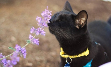 Хмарно та без опадів: прогноз погоди на Білопільщині у вихідні