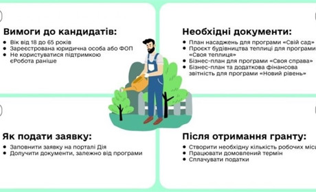 Гранти до 8 мільйонів гривень: як почати власну справу за допомоги держави?