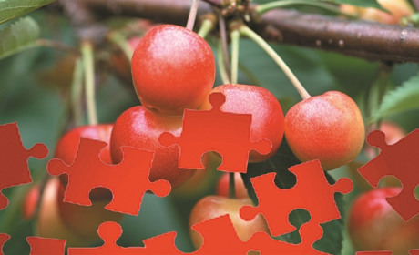 Суботні пазли: гайда до розваг з Мелітополь.Сіty!