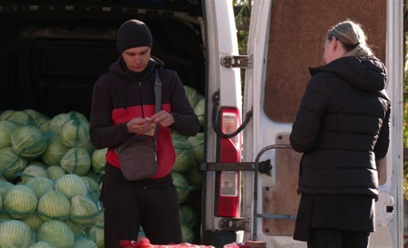 Ціни на ринку Звягеля у листопаді: від картоплі по 20 грн до червоної риби по 550 грн