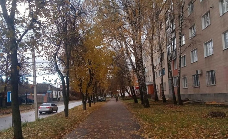 Дощі, сильний вітер, похолодання на кілька днів. Прогноз погоди у Гадячі на тиждень