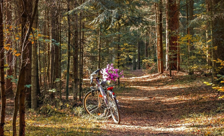 Для тих, хто хоче змістовно провести вихідний: У Сватовому влаштовують осінній велосипедний вікенд