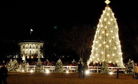 Фотопідбірка: Як виглядали міські ялинки в різні роки
