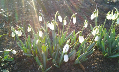 Будет ли февраль шестым месяцем осени, единственным зимним или станет первым месяцем весны? 