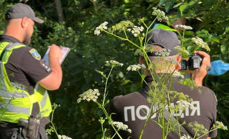 У Миколаївці зґвалтували та вбили 17-річну дівчину: розпочато слідство