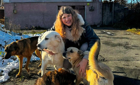 Врятувала життя 6 безпритульним песикам та 9 котикам: історія звягелянки Катерини Асташової