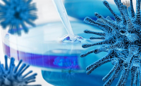 В Україні кількість хворих на COVID-19 зросла до 942. Яка ситуація у Сватівському районі