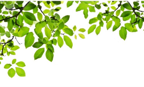 Прогноз погоди у Гадячі: яким буде перший тиждень весни