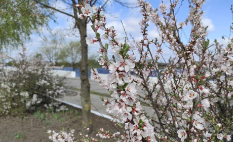 Погода на 3-9 травня: тиждень буде дощовим, але теплим