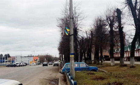 Патріотизму золотонісців можна лише позаздрити