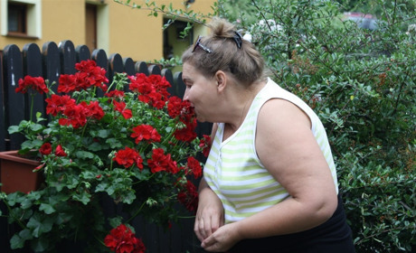 Как провести в Мелитополе выходные дни 22-23 июня