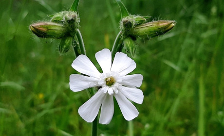 Збери нові пазли від Мелітополь.Сіty. Гайда до розваг!