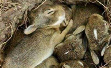 Троїцькі рятувальники за тиждень загасили 8 пожеж