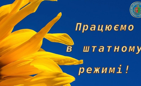 В День Незалежності міграційна служба Буковини працюватиме в штатному режимі