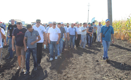 На День Поля в Троїцькому