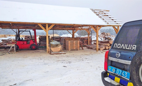 Перевірки пилорам у Вараському районі: в ОДА назвали перші результати; знайшли багато порушень