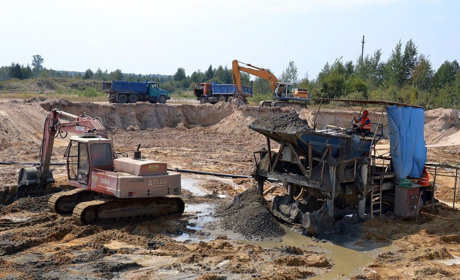 «Сонячне ремесло», підприємство з видобутку бурштину, подало до суду на Володимирецький держлісгосп