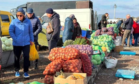 Ціни на ринку "Урожай" у Звягелі: огляд асортименту та вартості станом на 26 жовтня