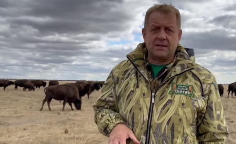 Крадій тварин із Криму опікуватиметься заповідником "Асканія-Нова"