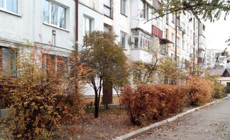 Дощ і сонце: погода на вихідні