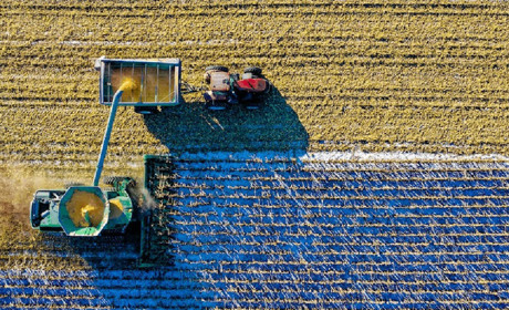 На Полтавщині стартував прийом заявок на агрогранти