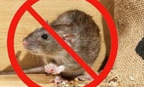 Петропавлівська СВА протидіє гризунам і допомагає сусідам