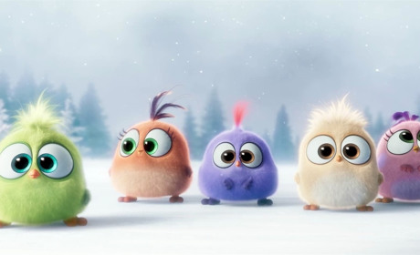 Знову - сніг та ожеледиця. На Сумщину сунуться складні погодні умови