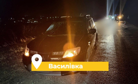 Їхав до Кучурган: в Одеському районі автомобіль на смерть збив пішохода