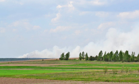 Пожежу у «Селянському лісі» могли спричинити «чорні лісоруби»