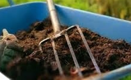 Торф низинный в огороде