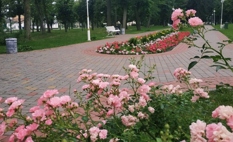 Прогноз погоди у Гадячі на тиждень: сухо та до +24°C