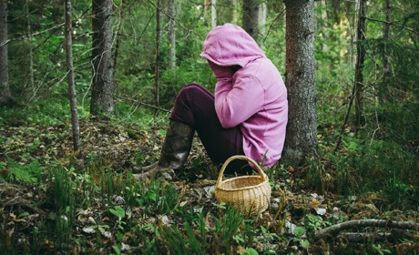 Білопільчанка заблукала в лісі. Вирушаючи на "тихе полювання", пам’ятайте про свою безпеку