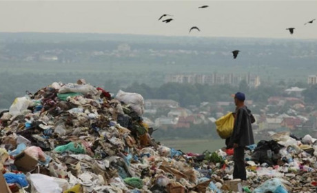 На Житомирщині зафіксовано найбільше екологічних порушень, що завдали збитків довкіллю