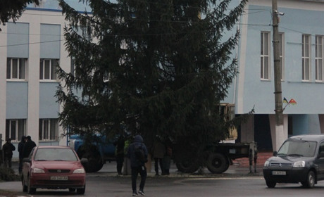 У Калинівці встановлюють новорічну ялинку