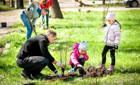 "Культурна толока" преобразила сквер в Торецке