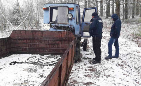 У Рафалівці «чорні лісоруби» зрізали дерев на 30 тисяч гривень