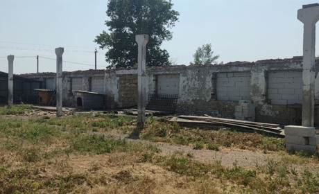 Притулок для собак у Переяславі продовжать будувати. Коштами допоміг київський благодійний фонд